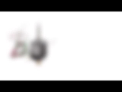 Moteur pas à pas hybride bipolaire de diamètre de la NEMA 8 20mm