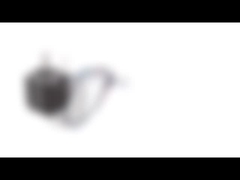 Moteur pas à pas hybride bipolaire de diamètre de la NEMA 8 20mm