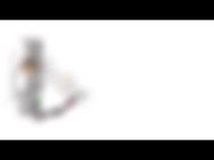 Imprimante Mini Linear Stepper Motor de C.C 12v P.M. de la NEMA 8 20mm 2 fil de la phase 4